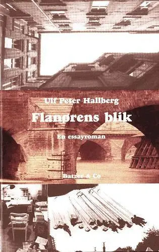 Billede af Flanørens blik