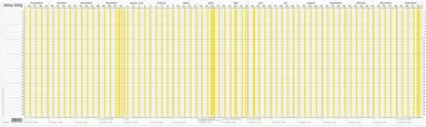 Ferie planner 2024/2025 100x20