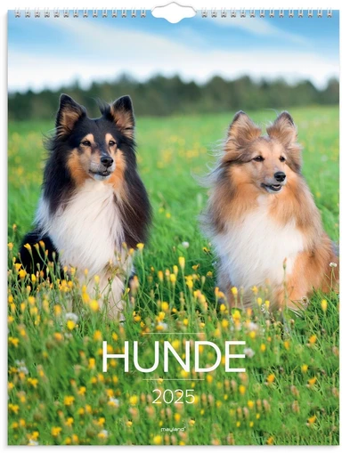 Vægkalender 2025 hunde 29,5 x 39 cm