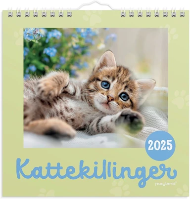 Vægkalender 2025 kattekillinger 16 x 16 cm