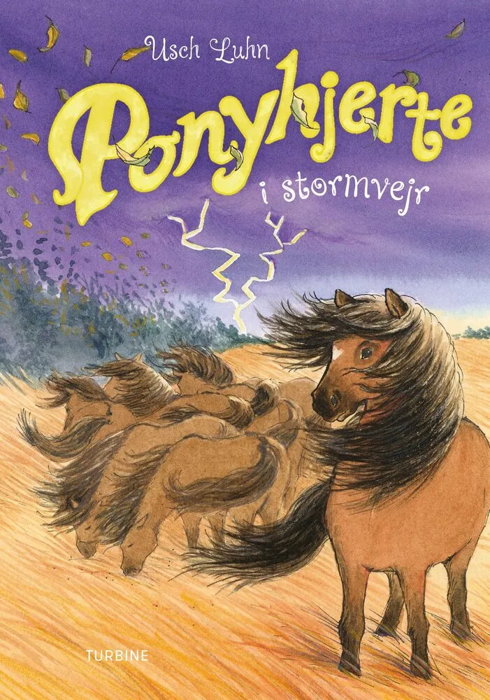Billede af Ponyhjerte i stormvejr