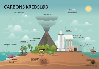 Kredsløb i naturen