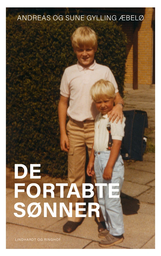 Billede af De fortabte sønner