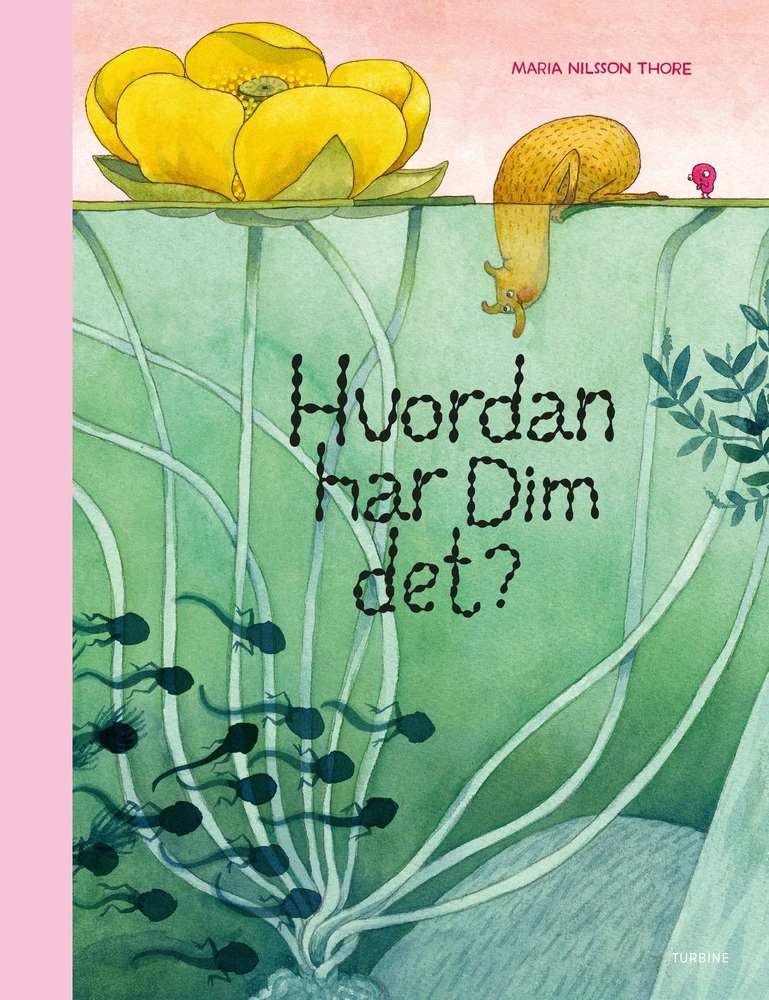 Billede af Hvordan har Dim det?