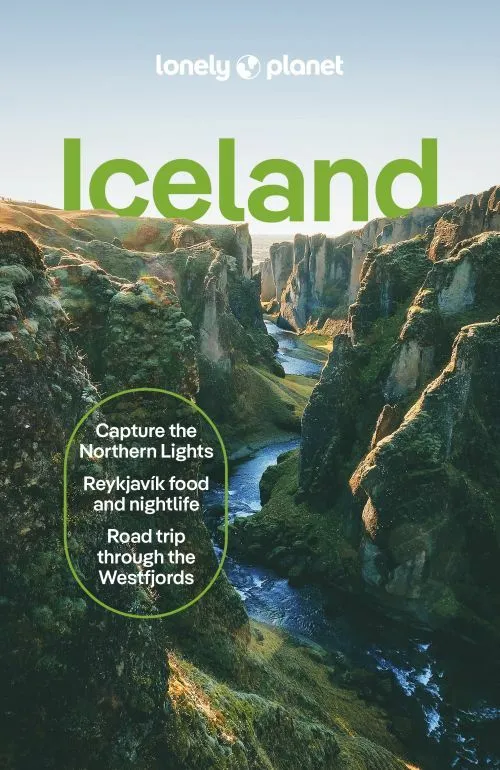 Billede af Lonely Planet Iceland