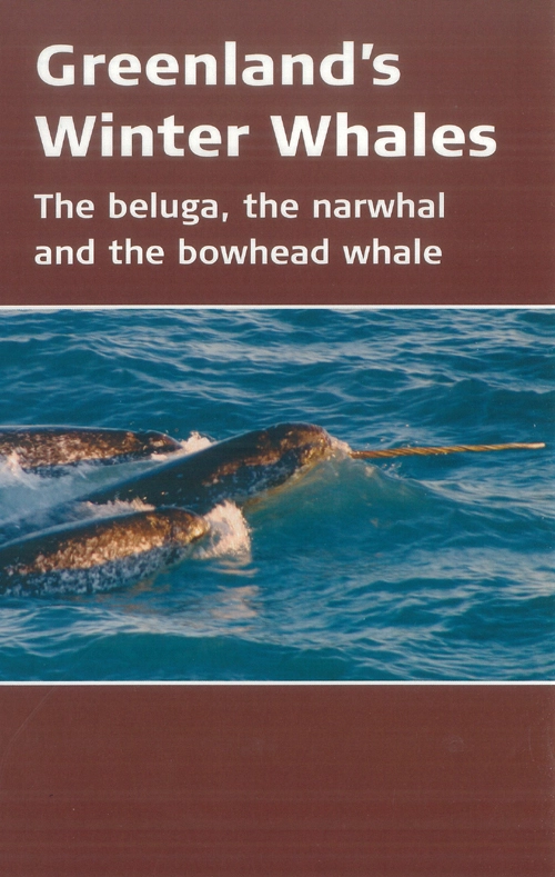 Greenlands winter whales