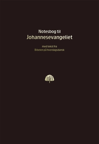 Bibelnotesbog 4, Johannesevangeliet