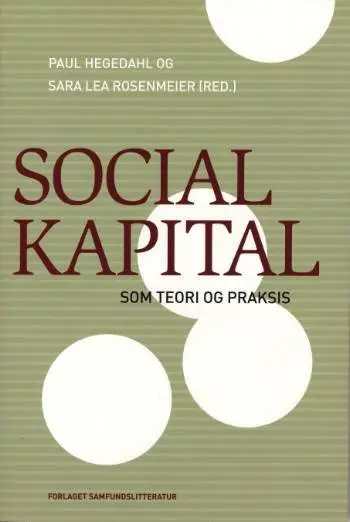 Billede af Social kapital som teori og praksis