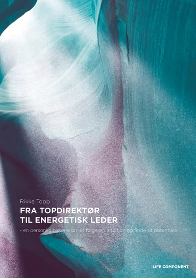 Fra topdirektør til energetisk leder