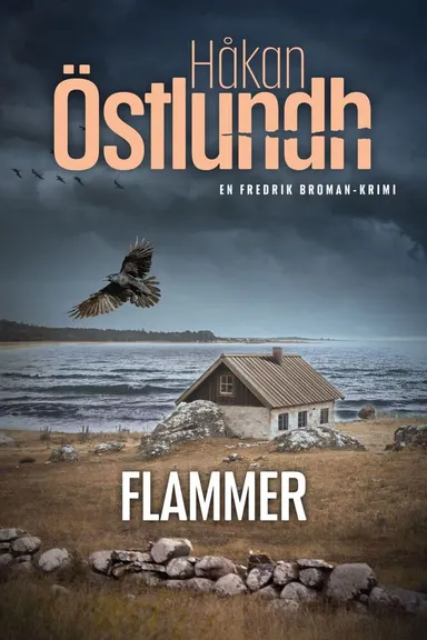 Fredrik Broman 3 - Flammer