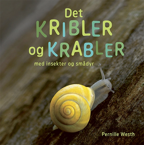Billede af Det kribler og krabler med insekter og smådyr