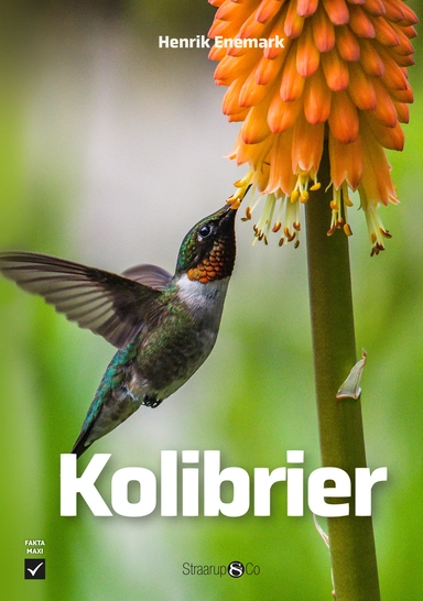 Kolibrier 