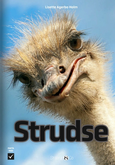 Strudse 