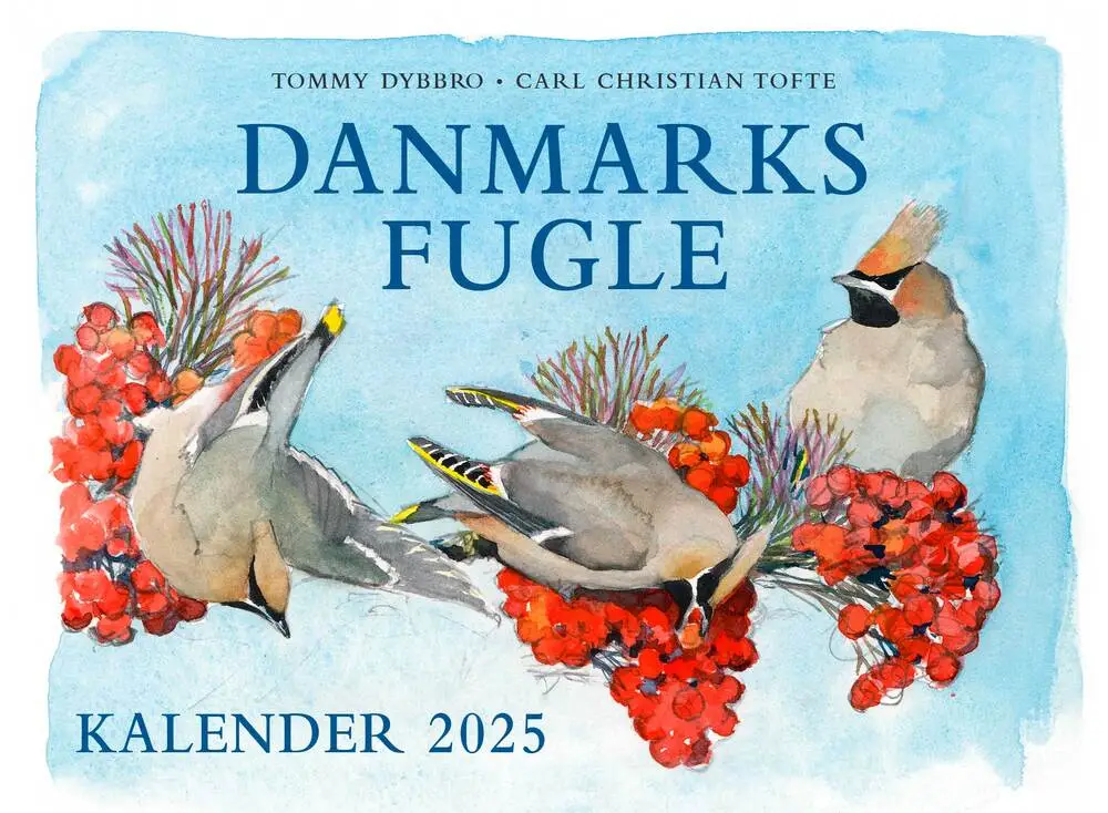 Billede af Danmarks fugle - kalender 2025