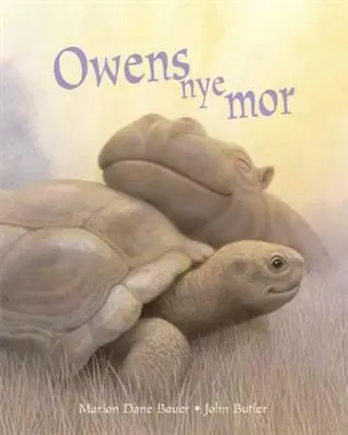 Owens nye mor
