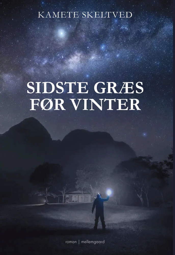 Billede af Sidste græs før vinter