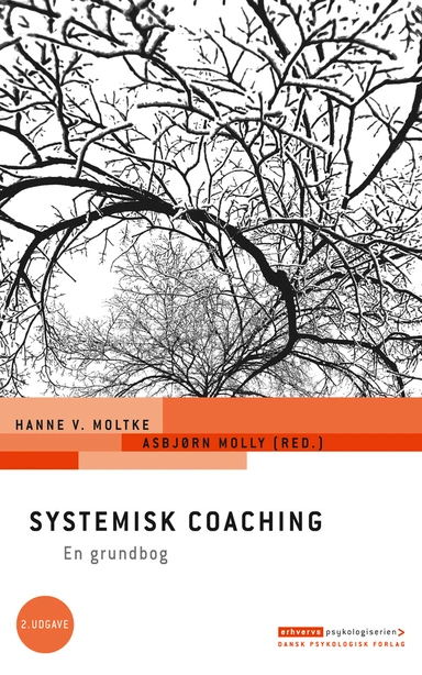 Systemisk coaching, 2. udgave