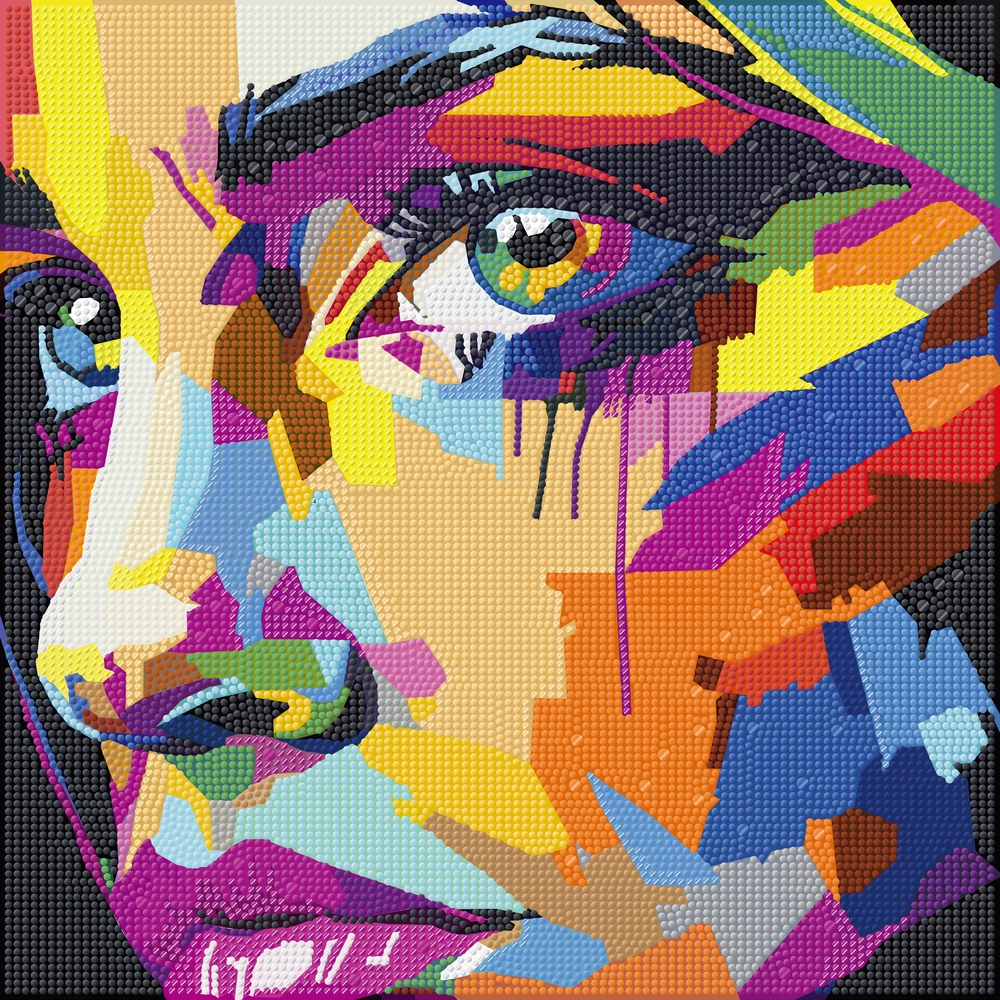 Diamond Art Mix Ansigt 40 X 40 Cm