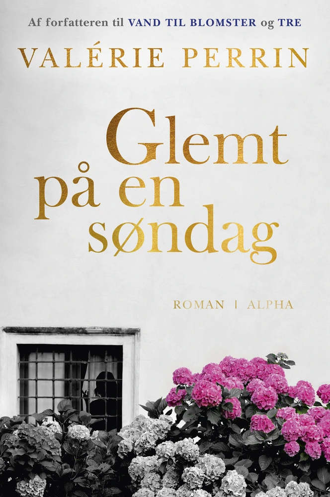 Billede af Glemt på en søndag