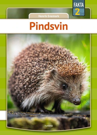 Pindsvin