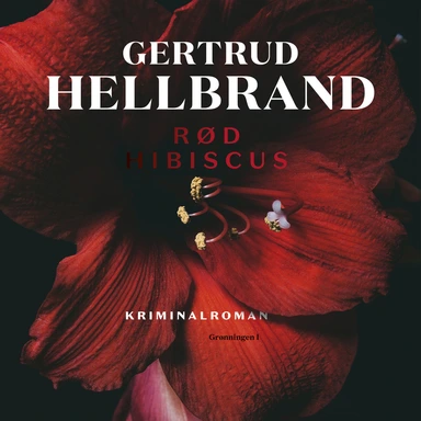 Rød hibiscus