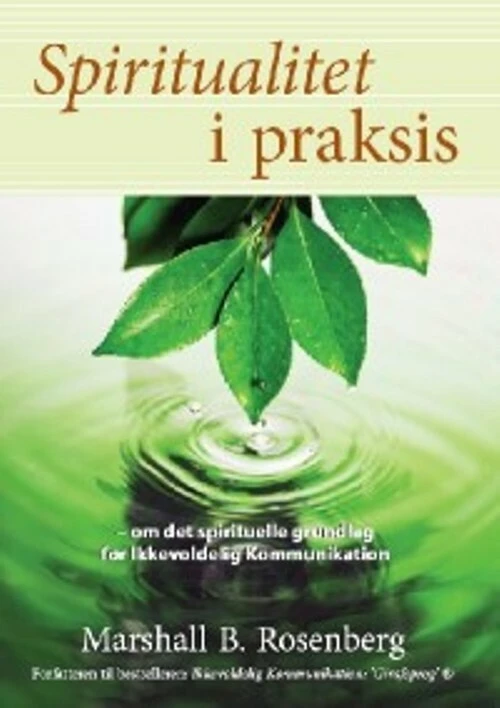 Billede af Spiritualitet i praksis