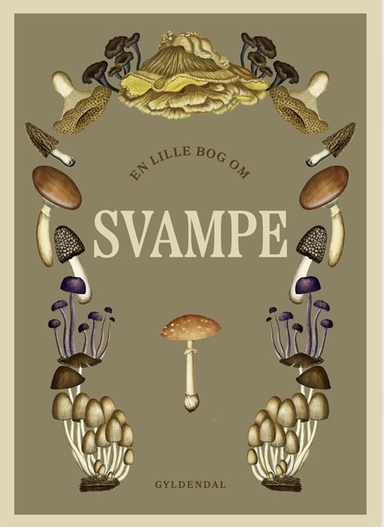 En lille bog om svampe