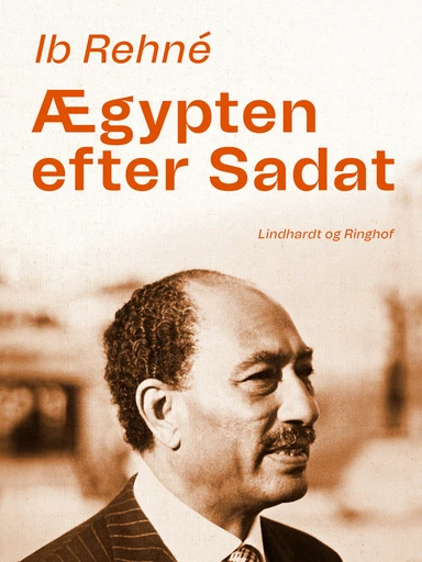 Ægypten efter Sadat