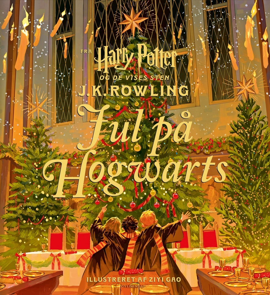 Billede af Harry Potter - Jul på Hogwarts