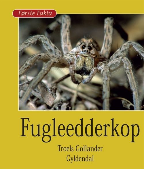 Billede af Fugleedderkop