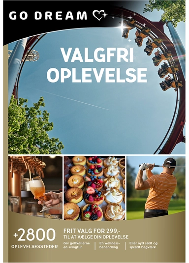 GO DREAM Valgfri oplevelse 299,-