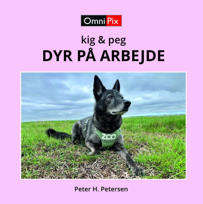 Billede af DYR PÅ ARBEJDE