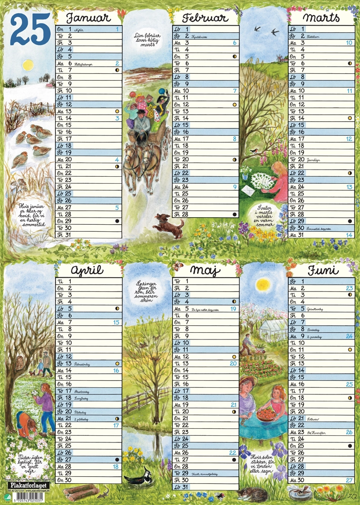 Overblikskalender A3 2025 Karton