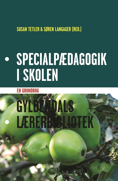 Billede af Specialpædagogik i skolen