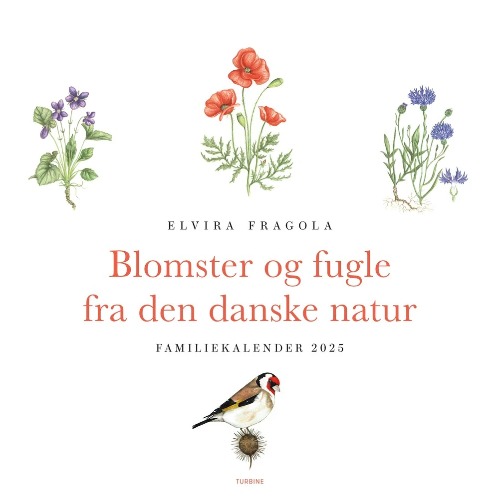 Billede af Blomster og fugle fra den danske natur - familiekalender 2025