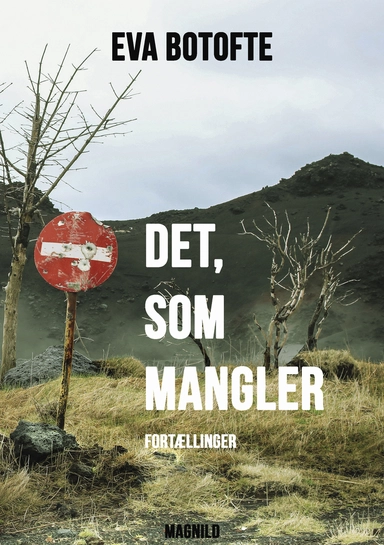 Det, som mangler 