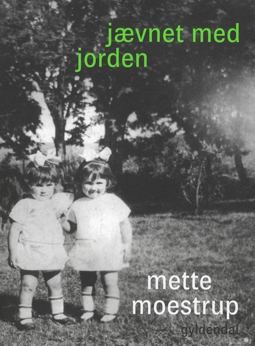 Billede af Jævnet med jorden