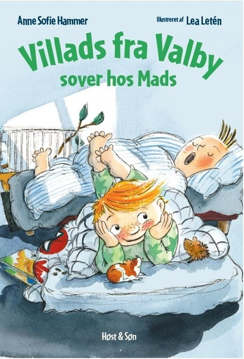 Billede af Villads fra Valby sover hos Mads