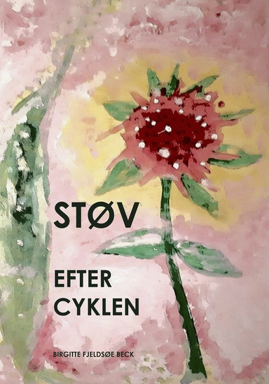 STØV EFTER CYKLEN