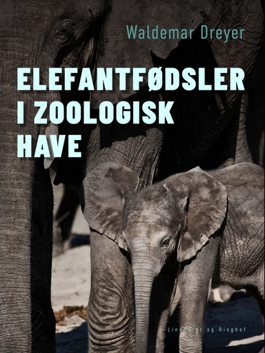 Elefantfødsler i Zoologisk Have