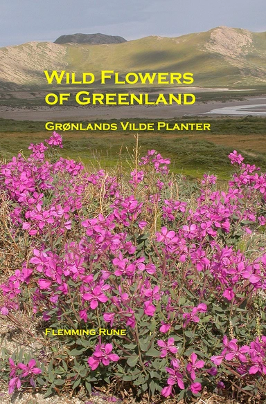Wild flowers of Greenland