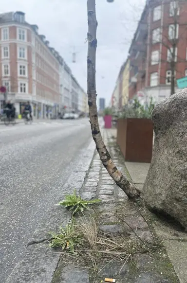 You can never hold back spring