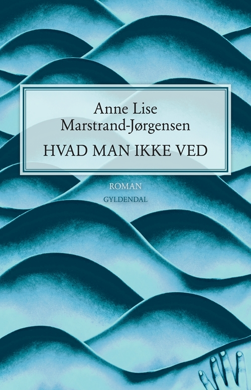 Billede af Hvad man ikke ved