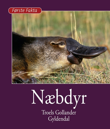 Næbdyr