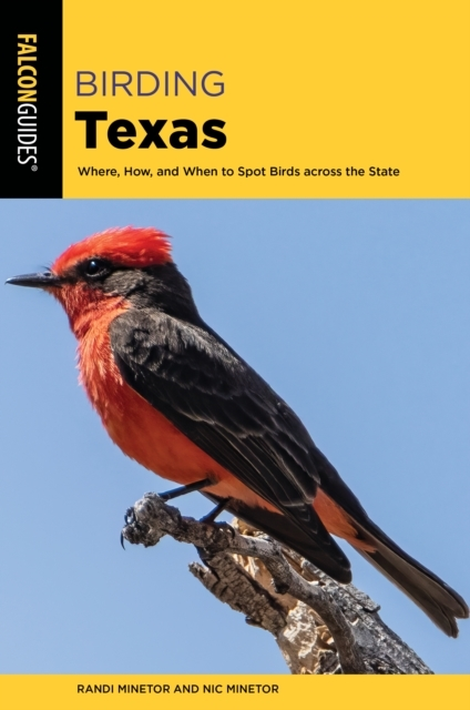 Billede af Birding Texas Where, How, And When To Spot Birds Across The State