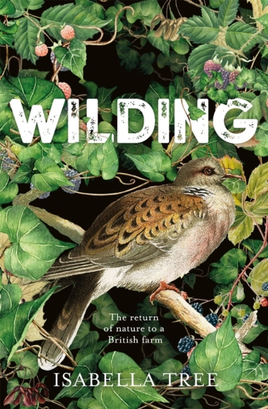 Wilding The Return of Nature To A British Farm