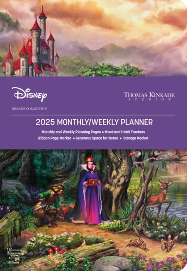 Disney Dreams Collection By Thomas Kinkade Studios 12-Month 2025 Monthly/Weekly Planner Calendar The Evil Queen