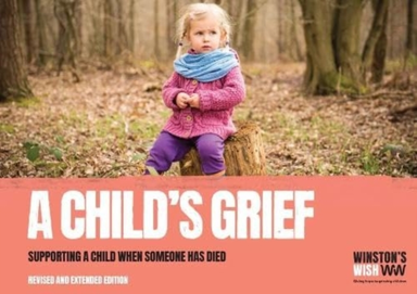 A Child'S Grief Supporting A Child When Someone Has Died