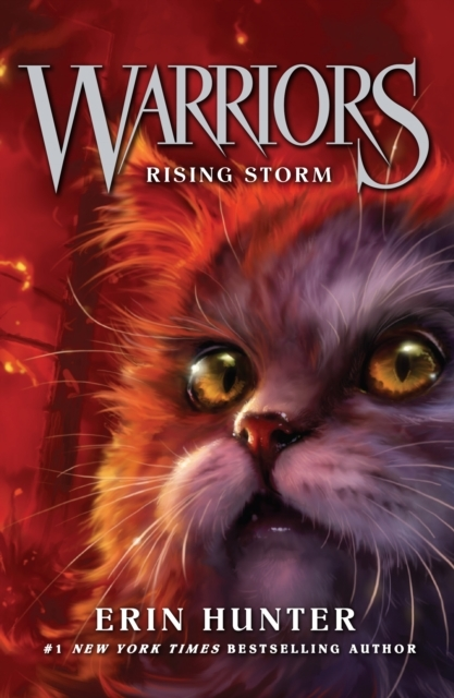 Billede af Rising Storm