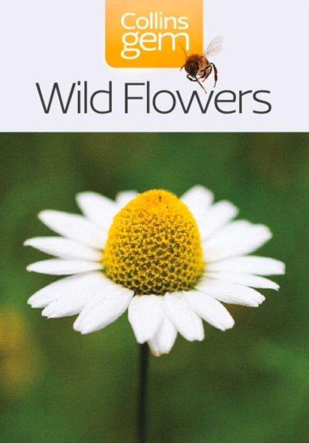 Billede af Wild Flowers